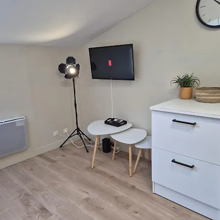 L'aquarelle - Parking Privatif, Bord Du Clain, Calme, Netflix Apartment *
