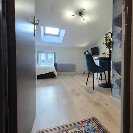 L'aquarelle - Parking Privatif, Bord Du Clain, Calme, Netflix *