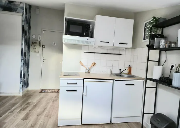 L'aquarelle - Bord Du Clain, Calme, Netflix Apartment Poitiers